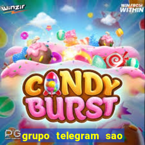 grupo telegram sao jose do rio preto